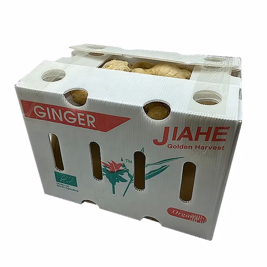 Verpackungsbox aus Wellpappe aus PP für Gemüse und Obst