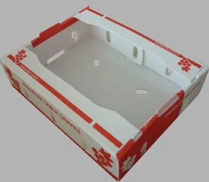 Frisches Obst, Gemüse, PP-Wellpappe-Kunststoffbox